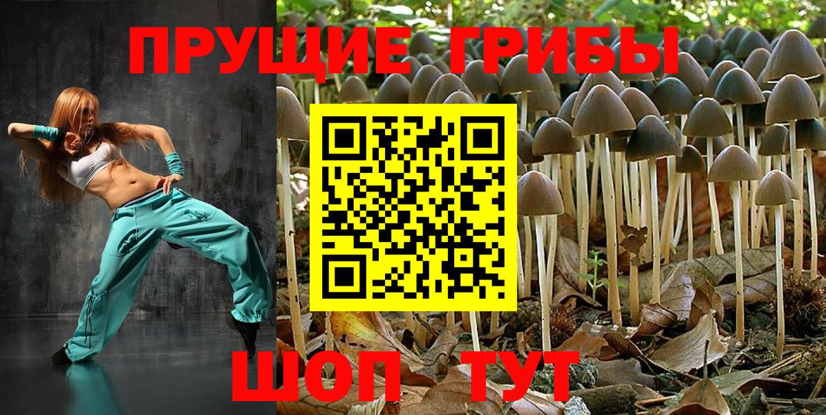 Вейп ТГК  Конопля  Зерноград  ГАШИШ  Меф МЯУ МЯУ кристаллы  Cocaine  Вход с VPN 