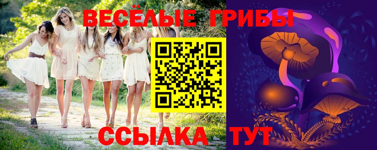 даркнет сайт  Вход с VPN  Зерноград  Псилоцибиновые грибы Cubensis  Галлюциногенные грибы Psilocybe 